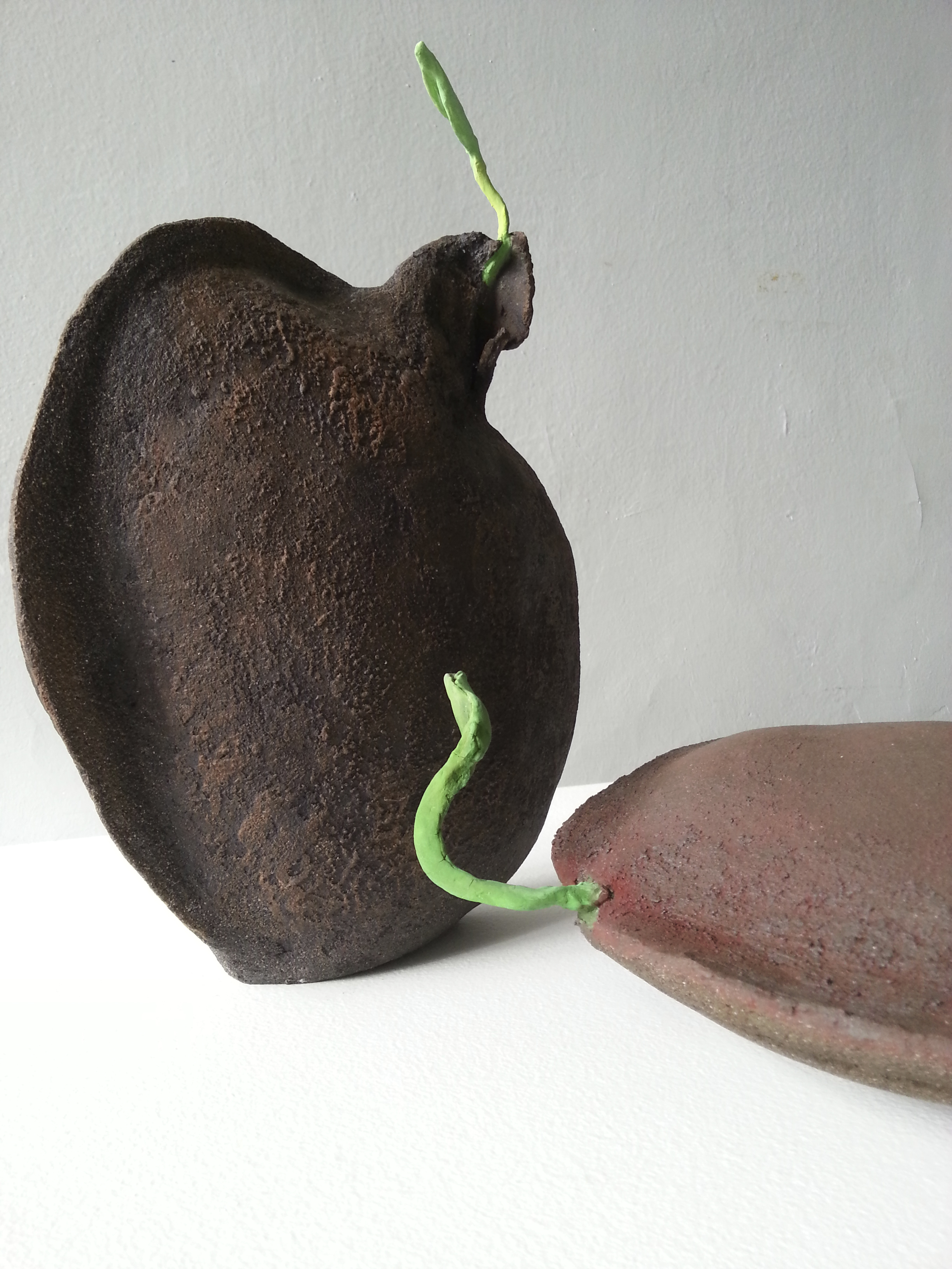 New beginnings sprouting